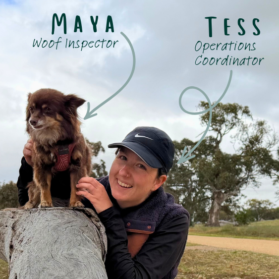 Tess (Operations) holding Maya (Chihuahua) on a log outdoors